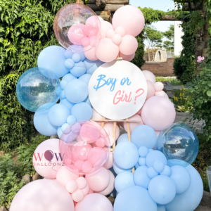 Gender reveal stand (2)